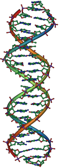 DNA_Overview2