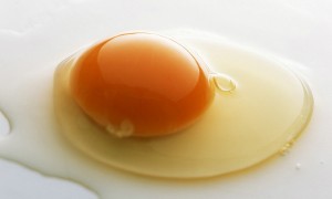 picture of a raw egg